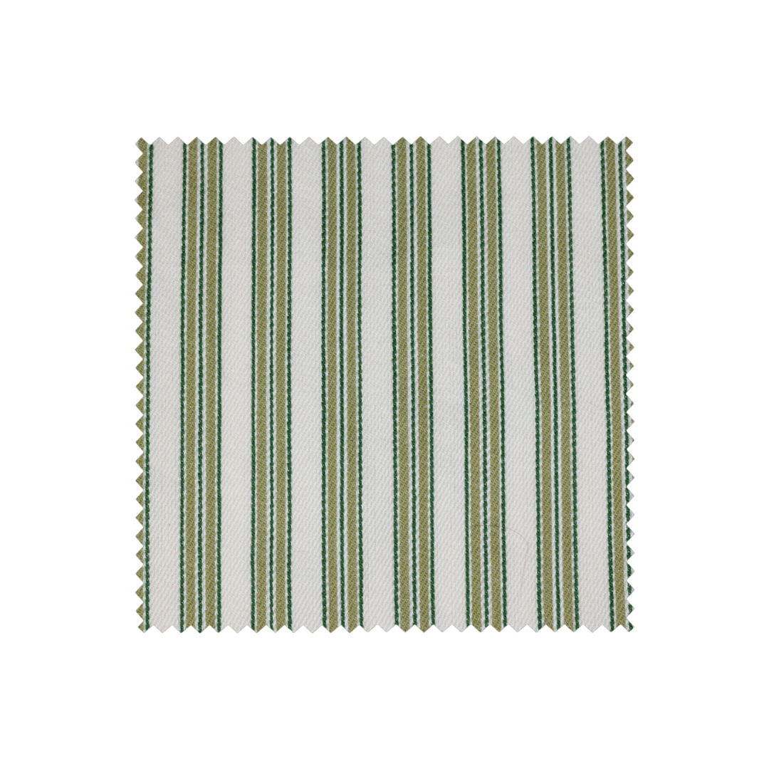 Anson Aloe Swatch